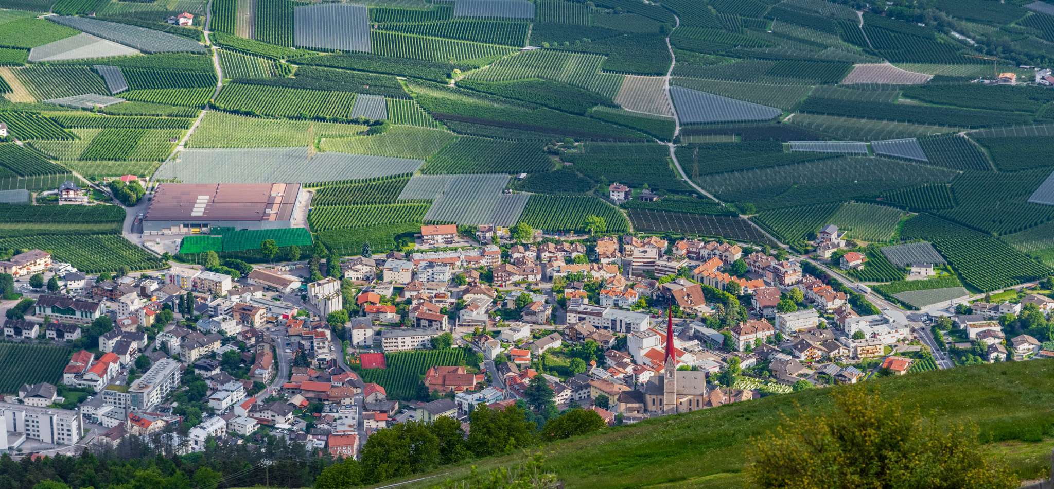 20240605182749-DSC_9316-V2